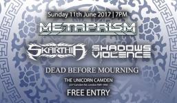 Metaprism advert